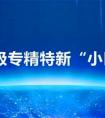 <strong>潍坊市城投集团等41家企业荣获 第四批全国专精特新“小巨人”称号</strong>