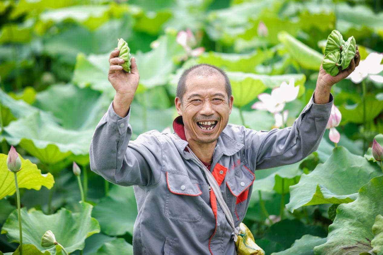 <strong>湖南株洲渌口区：优化提升农村人居环境 精心绘制乡村振兴画卷</strong>