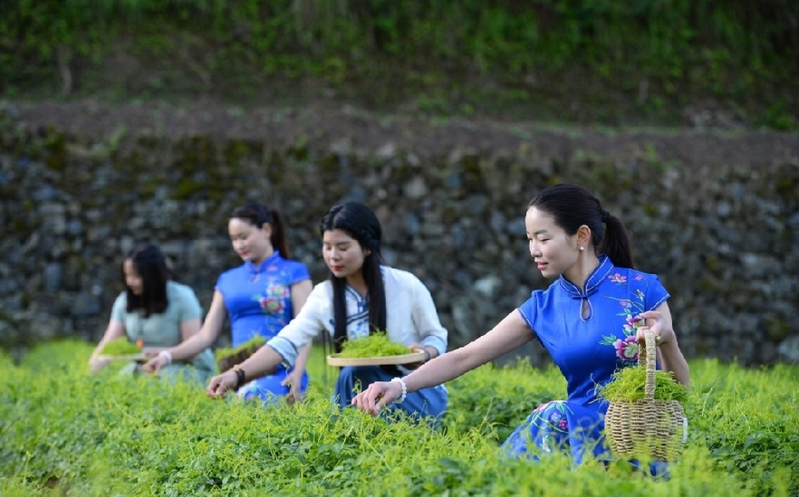 <strong>电商扶贫大有可为|王秀梅：我的价值要在乡土情结和家国情怀中实现</strong>