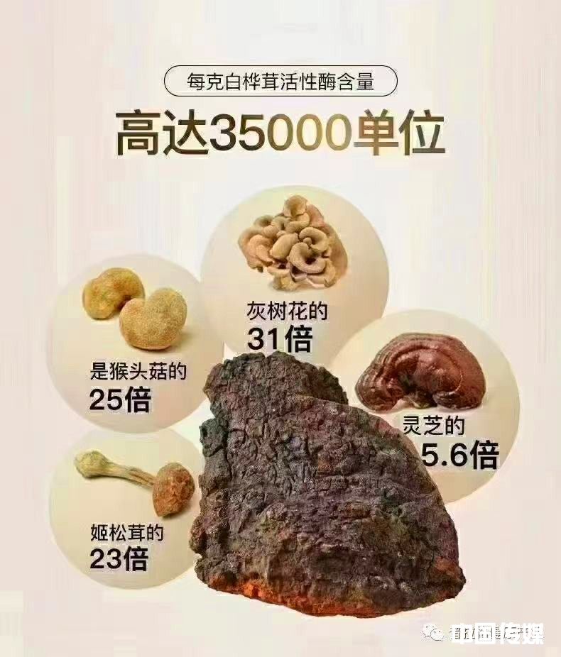 微信图片_20260515095958_234_180_副本.jpg