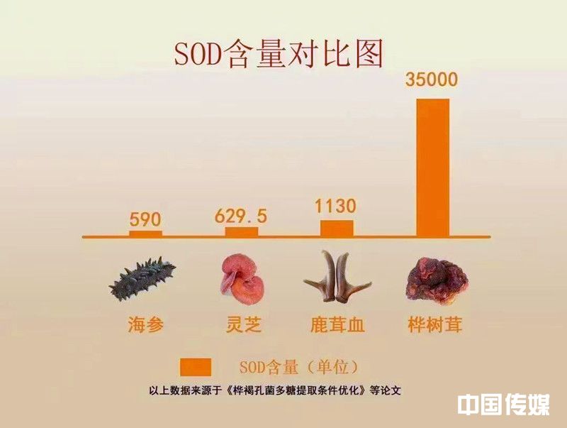 微信图片_20260515095950_233_180_副本.jpg