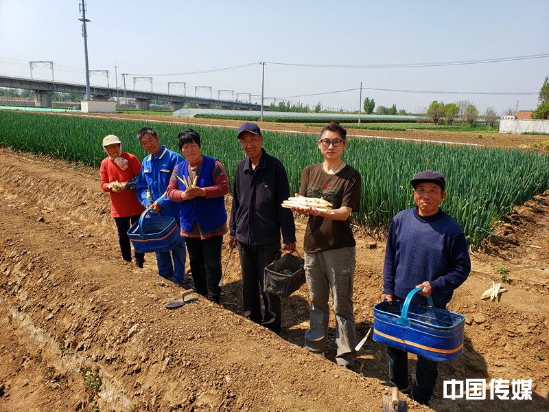 <strong>黄旗堡芦笋销售受疫情影响现困局 潍坊慈心悲愿公司爱心助农展开行动</strong>