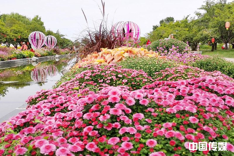 2025北京菊花文化节暨国际鲜花港金秋赏花游园会