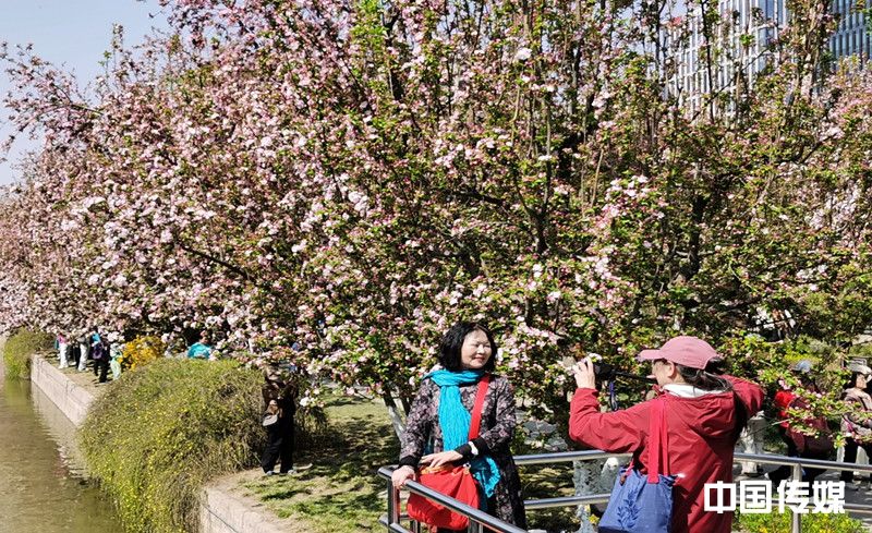 第三届北京朝阳花园节·游赏体验季暨元大都第26届海棠花溪节惊艳绽放
