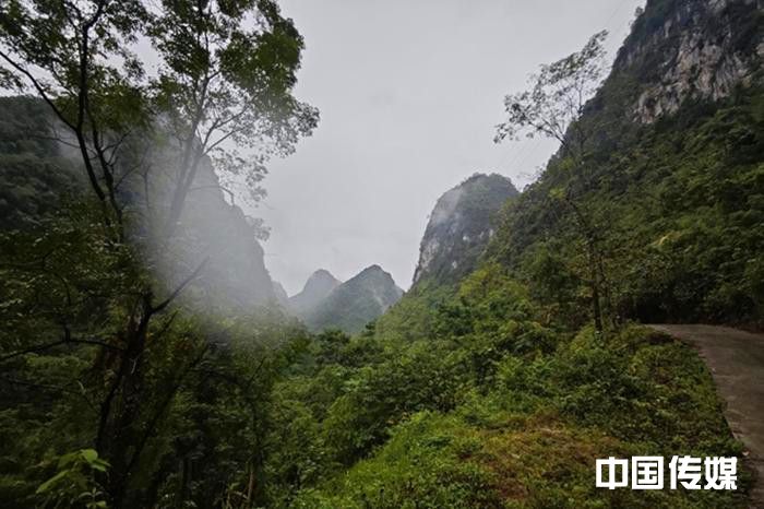 翻山越岭搭线送网进瑶寨 八桂大地数智铁塔护青绿