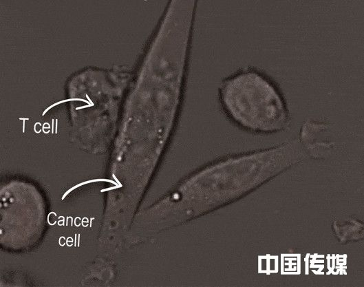 微信图片_20210209130928_副本.jpg