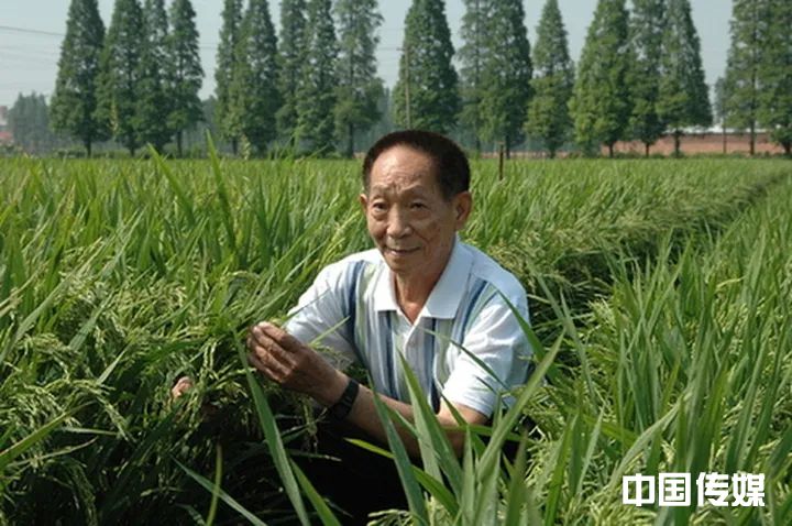 媒体报道袁隆平院士已逝世 袁隆平秘书：没有，正在准备辟谣